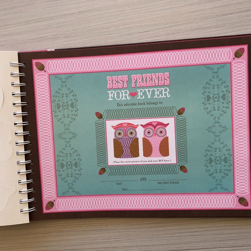 Owl Scrapbook - Picture 8 of 14